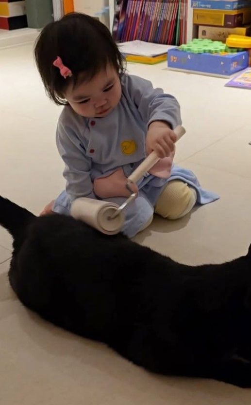 [서울=뉴시스] 박수홍 딸과 반려묘 다홍이. (사진=박수홍 인스타그램 캡처) 2025.12.08. photo@newsis.com  *재판매 및 DB 금지