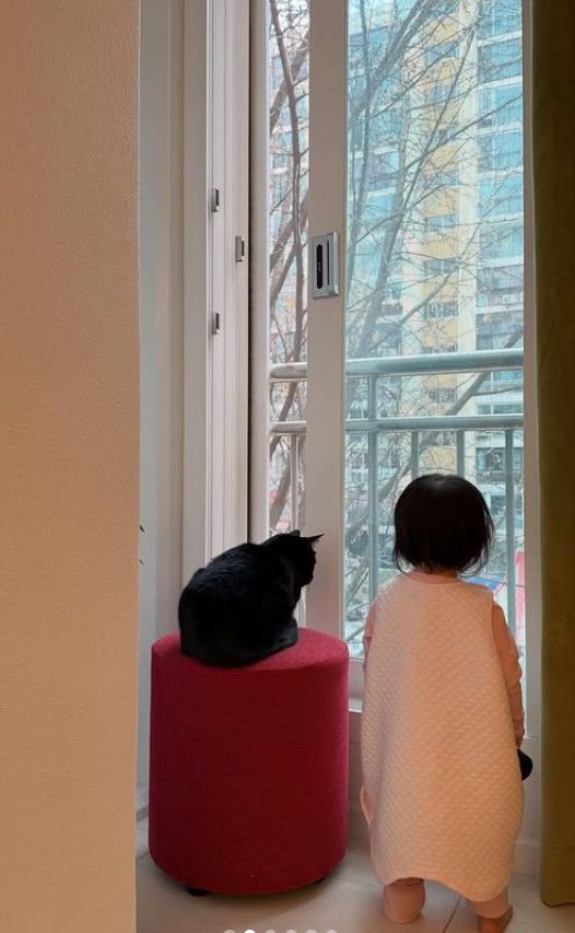 [서울=뉴시스] 박수홍 딸과 반려묘 다홍이. (사진=박수홍 인스타그램 캡처) 2025.12.08. photo@newsis.com  *재판매 및 DB 금지