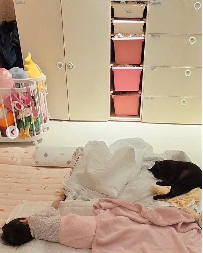 [서울=뉴시스] 박수홍 딸과 반려묘 다홍이. (사진=박수홍 인스타그램 캡처) 2025.12.08. photo@newsis.com  *재판매 및 DB 금지