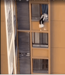 [서울=뉴시스]중국 광둥성 아파트 10층 발코니에 매달린 한 여성의 모습. (영상출처: 더선 캡처)2025.12..08. *재판매 및 DB 금지