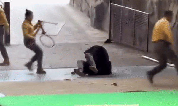 [뉴시스] 중국 저장성 항저우의 한 동물원에서 흑곰이 공연 도중 사육사를 공격하는 사고가 발생했다. (사진 = 상하이데일리 갈무리) 2025.12.08. *재판매 및 DB 금지 *재판매 및 DB 금지