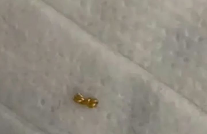 [뉴시스]소년의 부모가 되찾은 금목걸이의 일부. (사진 = QQ.com) *재판매 및 DB 금지