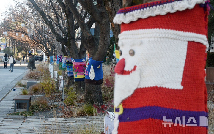 [전주=뉴시스] 김얼 기자 = 전북 전주시 덕진구 백제대로 가로수에 트리허그(잠복소)가 설치되어 있다. 2025.12.08. pmkeul@newsis.com