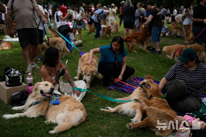 [부에노스아이레스=AP/뉴시스] 8일(현지 시간) 아르헨티나 부에노스아이레스 팔레르모 공원에서 열린 세계에서 가장 많은 골든 리트리버가 한자리에 모이는 세계 기록 도전 행사에 참가한 참가자들이 반려견과 즐거운 시간을 보내고 있다. 2025.12.09.