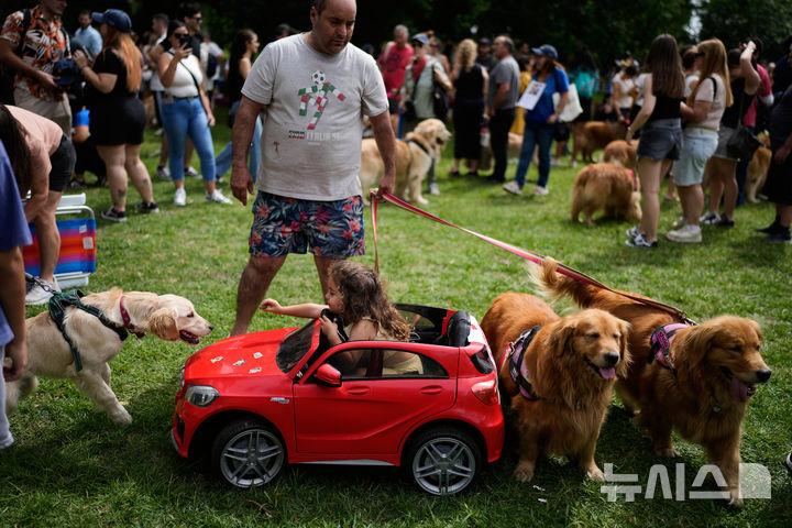 [부에노스아이레스=AP/뉴시스] 8일(현지 시간) 아르헨티나 부에노스아이레스 팔레르모 공원에서 열린 세계에서 가장 많은 골든 리트리버가 한자리에 모이는 세계 기록 도전 행사에 참가한 참가자들이 반려견과 즐거운 시간을 보내고 있다. 2025.12.09.