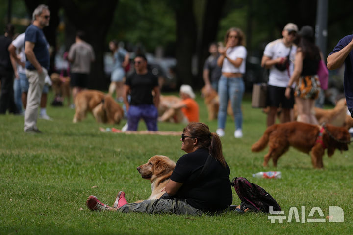[부에노스아이레스=AP/뉴시스] 8일(현지 시간) 아르헨티나 부에노스아이레스 팔레르모 공원에서 열린 세계에서 가장 많은 골든 리트리버가 한자리에 모이는 세계 기록 도전 행사에 참가한 참가자들이 반려견과 즐거운 시간을 보내고 있다. 2025.12.09.
