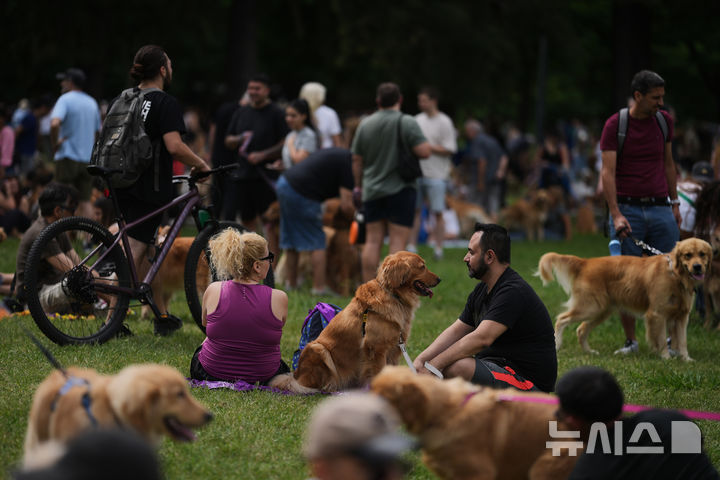 [부에노스아이레스=AP/뉴시스] 8일(현지 시간) 아르헨티나 부에노스아이레스 팔레르모 공원에서 열린 세계에서 가장 많은 골든 리트리버가 한자리에 모이는 세계 기록 도전 행사에 참가한 참가자들이 반려견과 즐거운 시간을 보내고 있다. 2025.12.09.