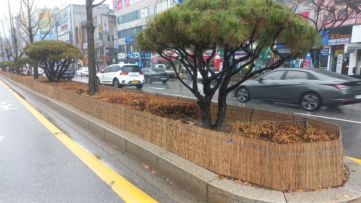 도로변 띠녹지 방풍벽. *재판매 및 DB 금지