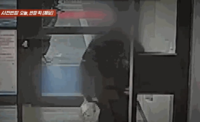 [뉴시스] 지난 8일 JTBC '사건반장'은 아파트 엘리베이터 CCTV를 통해 배달원의 치킨 닭다리를 꺼내 먹는 수상한 행각을 목격했다는 제보를 소개했다. *재판매 및 DB 금지