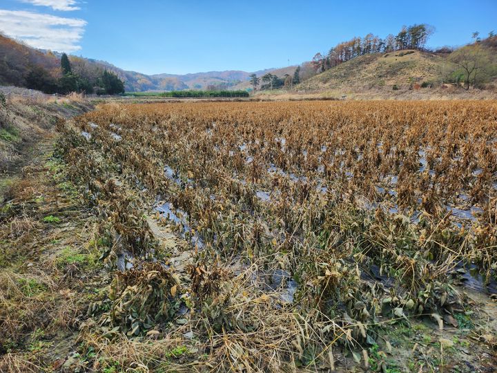 청주시, 농업재해 330농가에 재난지원금 지급