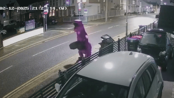 [뉴시스] 영국 주택가에서 보라색 공룡 전신 의상을 입은 인물이 쓰레기를 불법 투기하는 장면이 CCTV에 포착됐다. (사진 = 스카이뉴스 갈무리) 2025.12.09. *재판매 및 DB 금지