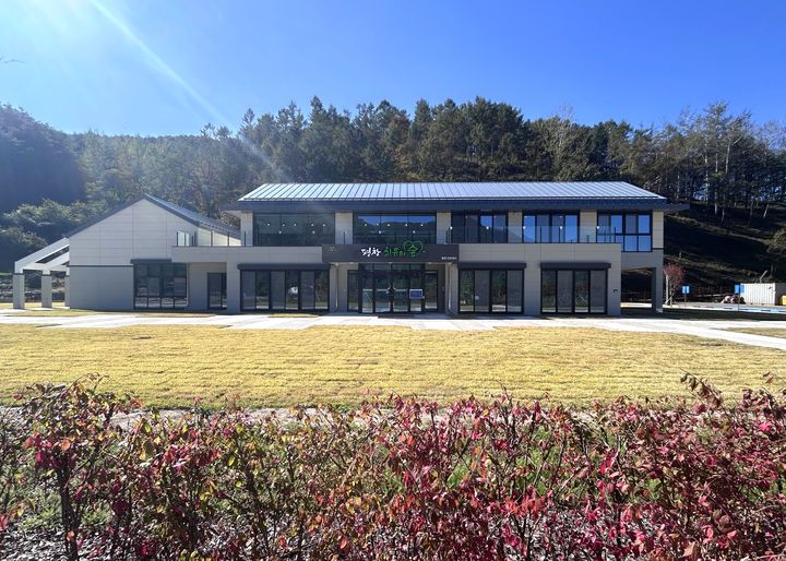 평창 치유의 숲. *재판매 및 DB 금지