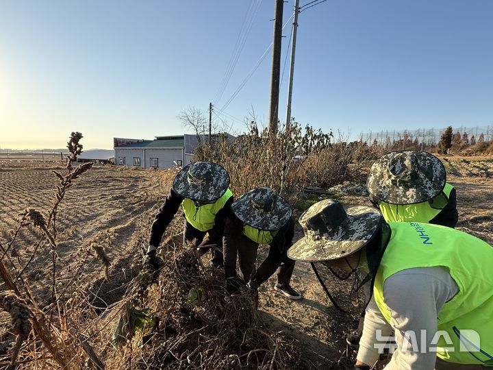 [전주=뉴시스]윤난슬 기자 = 전북농협은 김제 지역 농가를 찾아 '전국 영농부산물 일제 파쇄주간'(12월 1~15일)에 맞춰 영농부산물 파쇄 지원과 일손돕기 활동을 전개했다고 9일 밝혔다. (사진=전북농협 제공) photo@newsis.com 