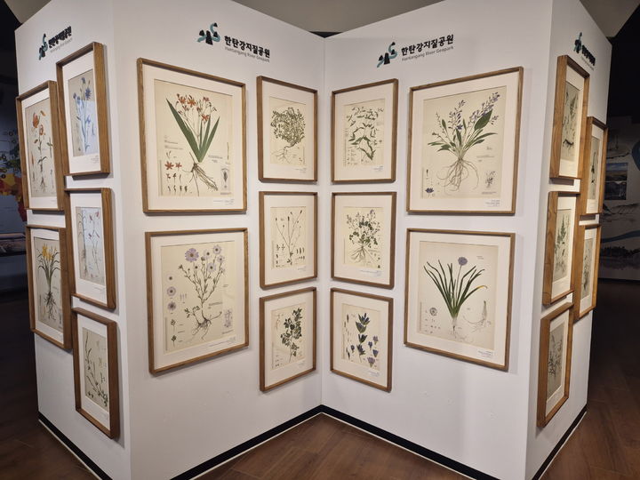 한탄강 세계지질공원센터 압화 전시 *재판매 및 DB 금지