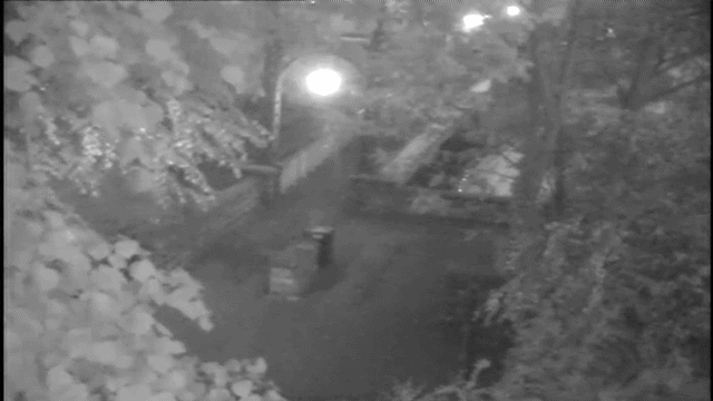 [서울=뉴시스] 아프가니스탄 출신 난민인 10대 남성 두 명이 영국 여학생(가운데)을 성폭행하기 위해 끌고 가고 있는 모습. (영상출처: BBC 캡처) 2025.12.09. *재판매 및 DB 금지