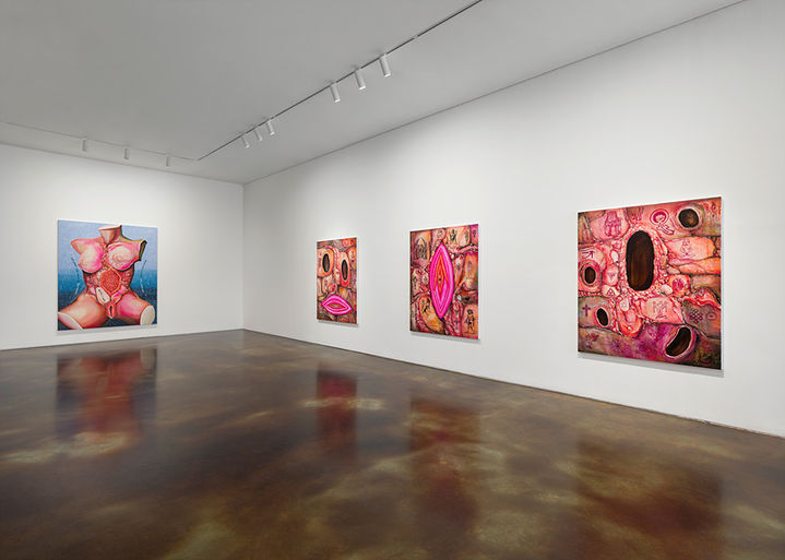 국제갤러리 K2 1F 장파 개인전 《Gore Deco》 설치전경 이미지 제공: 국제갤러리 *재판매 및 DB 금지