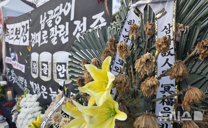 [전주=뉴시스] 강경호 기자 = 자임유가족협의회의 촛불집회가 진행된 9일 전북 전주시 전북특별자치도청 앞 인도에 유족들이 항의성으로 비치한 조화가 시간이 오래 지나 시들어 있다. 2025.12.09. lukekang@newsis.com