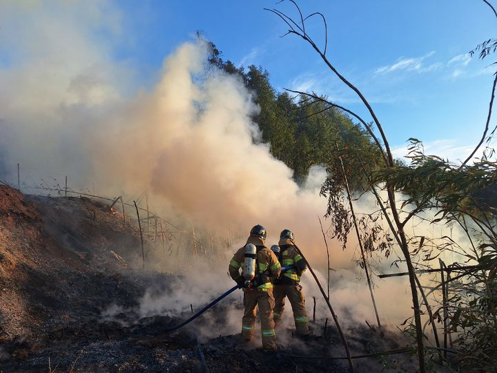 [여수=뉴시스] 9일 오후 4시4분께 전남 여수시 소라면 한 야산 옆 밭에서 불이 나 소방 당국이 진화하고 있다. (사진 = 여수소방서 제공) 2025.12.09. photo@newsis.com *재판매 및 DB 금지