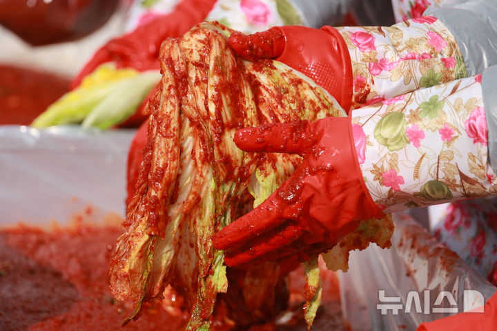 [서울=뉴시스] 고승민 기자 = 9일 서울 여의도 헌정회관 앞에서 열린 '국회 생생텃밭과 함께하는 김장나눔' 행사에서 배추에 양념을 넣는 모슺. 2025.12.09. kkssmm99@newsis.com