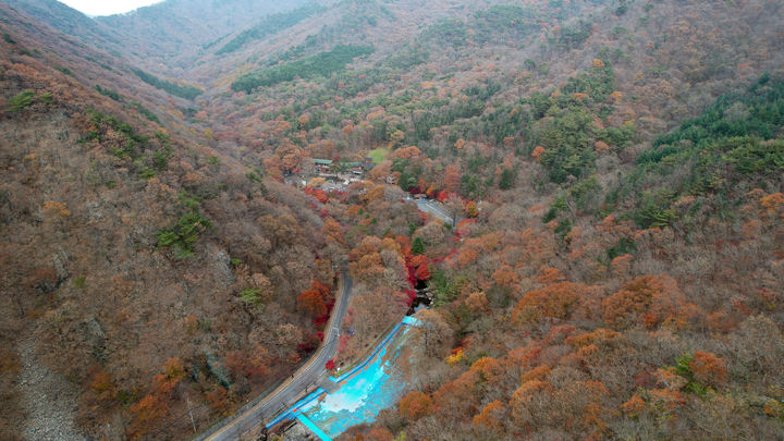 [보령=뉴시스] 보령시 성주산 자연 휴양림 전경. (사진=보령시청 제공) 2025.12.10. photo@newsis.com *재판매 및 DB 금지