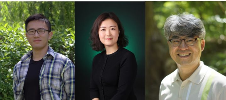 [서울=뉴시스] 고려대, 중국 길림대 공동 연구팀. (왼쪽부터) 고려대 딩치항(Ding Qihang) 박사과정(제1저자), 길림대 수린(Xu Lin) 교수(교신저자), 고려대 김종승 교수(교신저자). (사진=고려대 제공) 2025.12.10. photo@newsis.com *재판매 및 DB 금지
