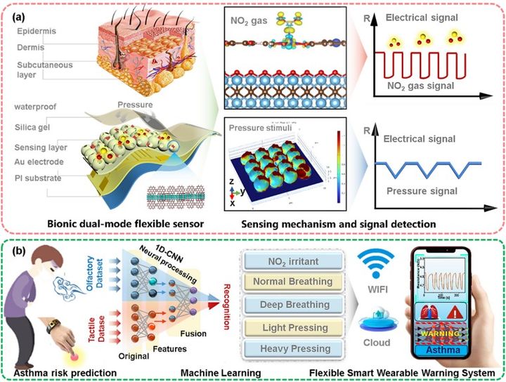 [서울=뉴시스] 인공 표피를 기반으로 천식을 조기 진단할 수 있는 스마트 헬스케어 플랫폼 이미지. (사진=고려대 제공) 2025.12.10. photo@newsis.com *재판매 및 DB 금지