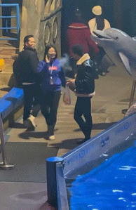 [뉴시스] 수족관 앞에서 담배를 피우던 남성에게 벨루가가 물줄기를 뿜어 담배를 끄는 장면이 온라인에서 화제다. (사진='NDTV' 갈무리) *재판매 및 DB금지 *재판매 및 DB 금지 *재판매 및 DB 금지