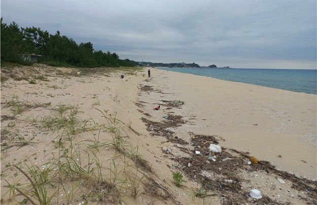 강원 양양군 남애항 현장조사 모습. (한국어촌어항공단 제공) *재판매 및 DB 금지