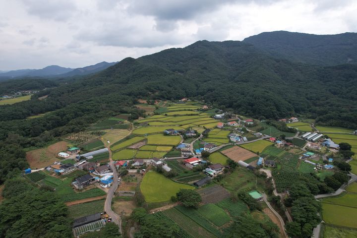 [세종=뉴시스] 충남 보령 소양마을 다랑이논 전경. (사진=농림축산식품부 제공) *재판매 및 DB 금지