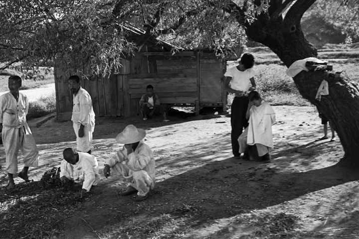 Han Youngsoo, 서울 논현동 부근 near Nonhyun-dong, Seoul 1957. © 2025. 한영수문화재단. All rights reserved *재판매 및 DB 금지