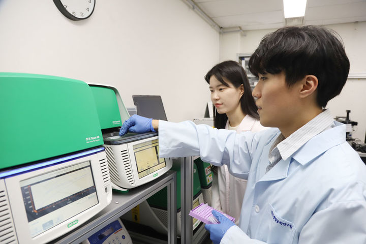 [대전=뉴시스] 생명연구원이 PCR 없이도 극미량의 바이러스 RNA를 직접 검출하는 새로운 CRISPR 진단기술 개발했다. 연구진이 진단기술로 시험하고 있는 모습.(사진=생명연구원 제공)  *재판매 및 DB 금지