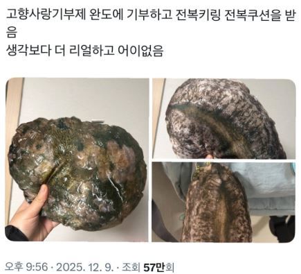 전라남도 완도군이 고향사랑기부제 답례품으로 제공한 '전복 미니쿠션·키링 세트'가 온라인에서 화제를 모으고 있다.(사진=X 캡처) *재판매 및 DB 금지