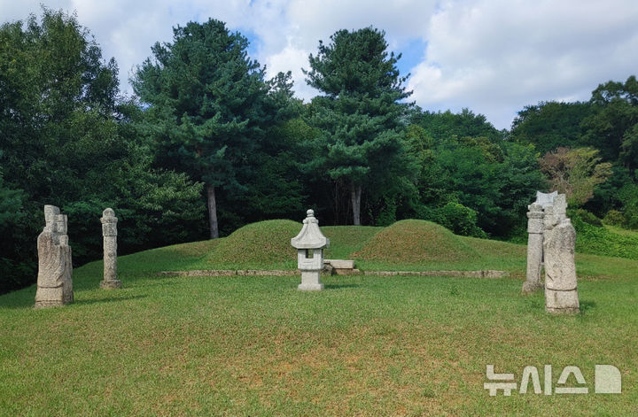 [고양=뉴시스]경기 고양시 향토유산으로 신규 지정된 심봉원 묘.(사진=고양시 제공)photo@newsis.com