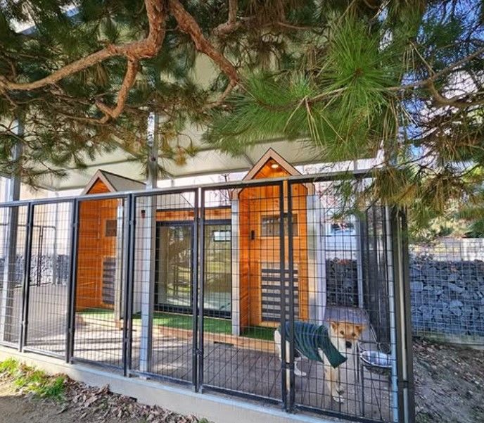 [서울=뉴시스] 전 골프선수 박세리가 반려견을 위한 '온돌 하우스'를 공개했다. (사진=박세리 인스타그램) 2025.12.12. photo@newsis.com *재판매 및 DB 금지