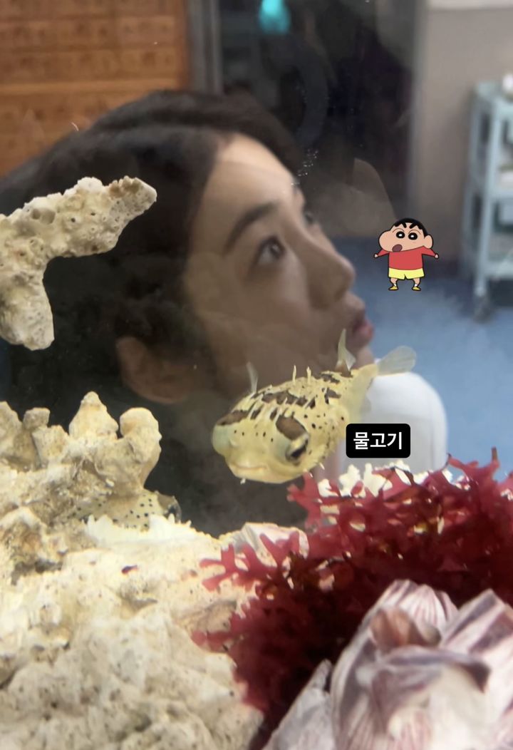 [서울=뉴시스] 배우 신예은. (사진=신예은 인스타그램 캡처) 2025.12.12. photo@newsis.com *재판매 및 DB 금지