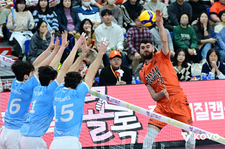 [서울=뉴시스] 남자 프로배구 OK저축은행 디미트로프가 12일 부산 강서실내체육관에서 열린 진에어 2025~2026 V-리그 남자부 대한항공과의 경기에서 공격을 시도하고 있다. (사진=KOVO 제공) 2025.12.12 