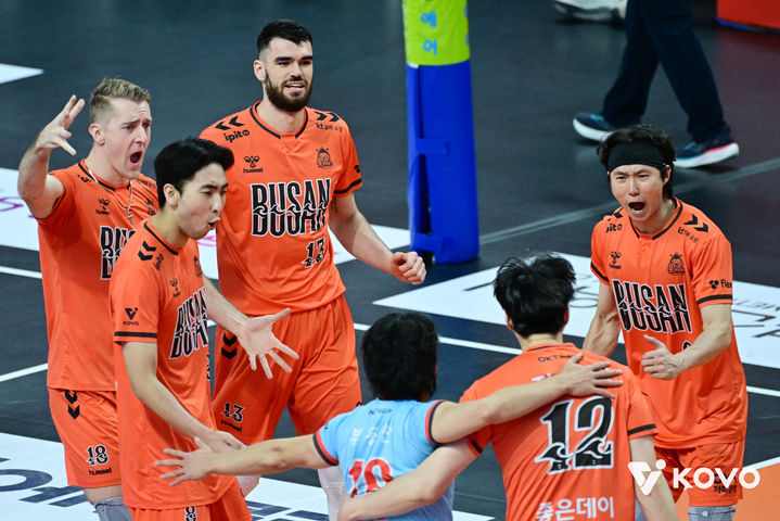 [서울=뉴시스] 남자 프로배구 OK저축은행 선수들이 12일 부산 강서실내체육관에서 열린 진에어 2025~2026 V-리그 남자부 대한항공과의 경기에서 득점에 성공한 뒤 기뻐하고 있다. (사진=KOVO 제공) 2025.12.12 