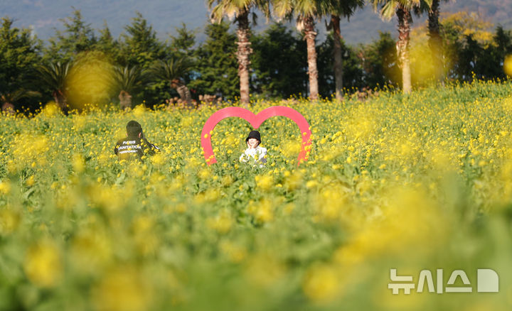 [서귀포=뉴시스] 우장호 기자 = 추운 날씨를 보인 12일 오전 제주 서귀포시 남원면 휴애리자연생태공원에 유채꽃이 활짝 피어나 겨울 속 봄 정취를 자아내고 있다. 기상청에 따르면 주말인 13일부터 기온이 큰 폭으로 떨어져 한라산 등 고지대에는 최대 10㎝ 이상의 많은 눈이 내리고, 강한 바람이 불어 기상이 악화할 것으로 전망된다. 2025.12.12. woo1223@newsis.com
