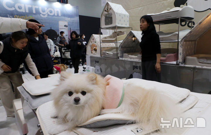 [서울=뉴시스] 김혜진 기자 = 12일 서울 강남구 세텍(SETEC)에서 열린 크리스마스 서울 펫쇼에서 관람객들이 반려견과 함께 전시장을 둘러보고 있다. 2025.12.12. jini@newsis.com