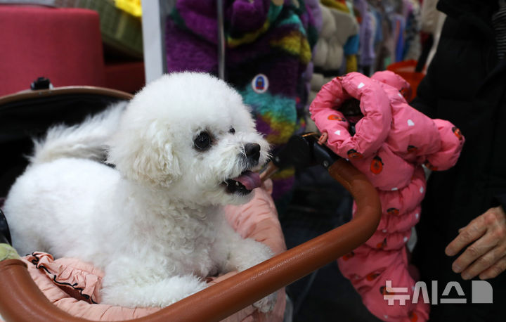 [서울=뉴시스] 김혜진 기자 = 12일 서울 강남구 세텍(SETEC)에서 열린 크리스마스 서울 펫쇼에서 관람객들이 반려견과 함께 전시장을 둘러보고 있다. 2025.12.12. jini@newsis.com