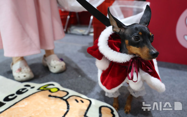 [서울=뉴시스] 김혜진 기자 = 12일 서울 강남구 세텍(SETEC)에서 열린 크리스마스 서울 펫쇼에서 관람객들이 반려견과 함께 전시장을 둘러보고 있다. 2025.12.12. jini@newsis.com