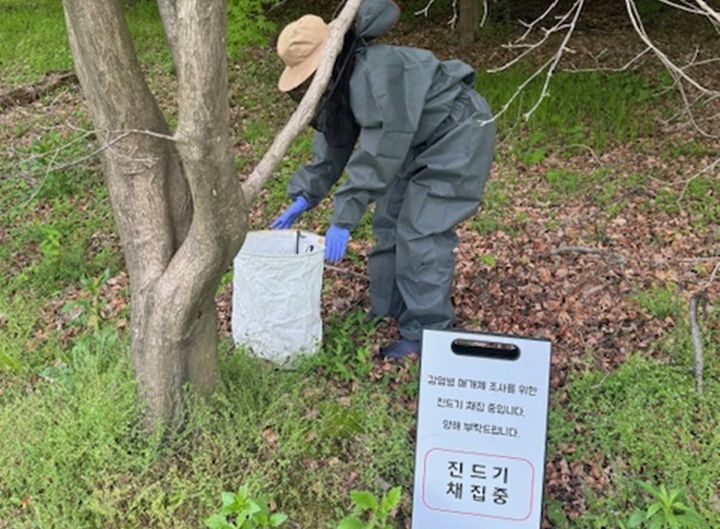[청주=뉴시스] 충북보건환경연구원 진드기 채집 모습. (사진=충북도 제공) 2025.12.13. photo@newsis.com *재판매 및 DB 금지