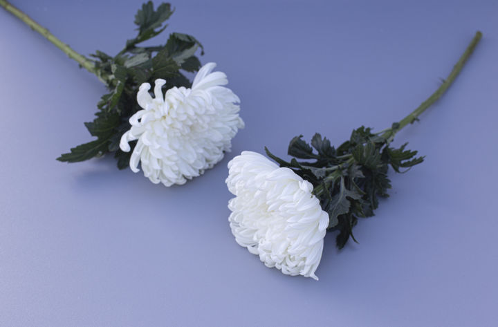 [서울=뉴시스] 기사의 이해를 돕기 위한 이미지. (사진=유토이미지)  *재판매 및 DB 금지