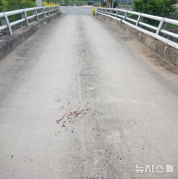 [단양=뉴시스] 사건이 발생한 현장 (사진= 독자 제공) photo@newsis.com *재판매 및 DB 금지