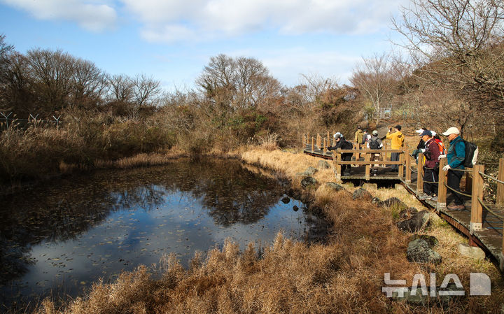 [제주=뉴시스] 우장호 기자 = 13일 오전 제주시 봉개동 민오름과 사려니숲길 일원에서 뉴시스 제주본부 주최·제주트레일워킹협회 주관으로 열린 '제주 트레일워킹 아카데미(Jeju Trail Walking Academy)' 제3회 실전체험 교육이 진행되고 있다. 2025.12.13. woo1223@newsis.com