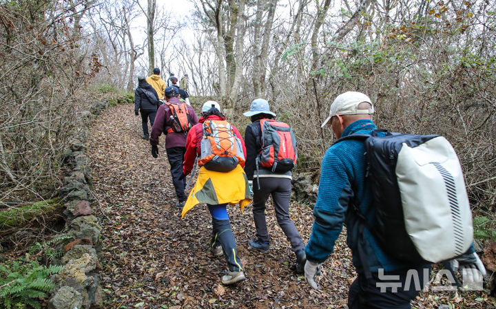 [제주=뉴시스] 우장호 기자 = 13일 오전 제주시 봉개동 민오름과 사려니숲길 일원에서 뉴시스 제주본부 주최·제주트레일워킹협회 주관으로 열린 '제주 트레일워킹 아카데미(Jeju Trail Walking Academy)' 제3회 실전체험 교육이 진행되고 있다. 2025.12.13. woo1223@newsis.com