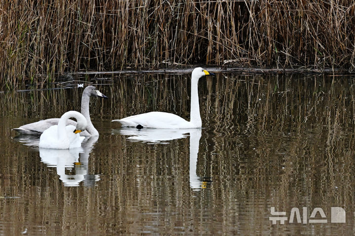 울산, 맑다가 오후부터 흐림…아침 최저 0도