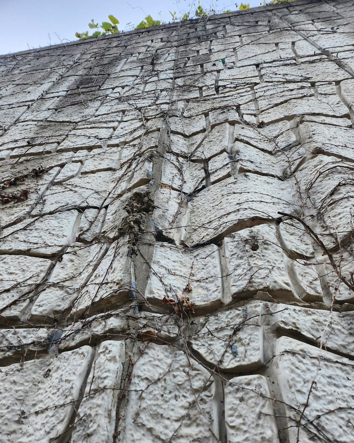 [대구=뉴시스] 대구 달서구 도원동 523번지에 위치한 사유지 L형 옹벽 배부름 현상. (사진=대구 달서구의회 제공) 2025.12.15. photo@newsis.com *재판매 및 DB 금지