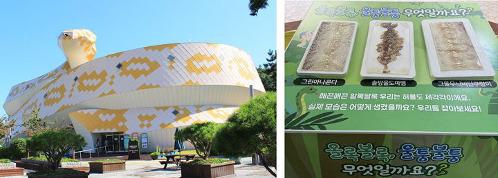 [함평=뉴시스] 전남 함평군은 함평양서파충류 생태공원에서 '뱀 허물 만지기 체험 프로그램'을 연중 상시 운영하고 있다고 14일 밝혔다. (사진=함평군 제공) 2025.12.14. photo@newsis.com *재판매 및 DB 금지