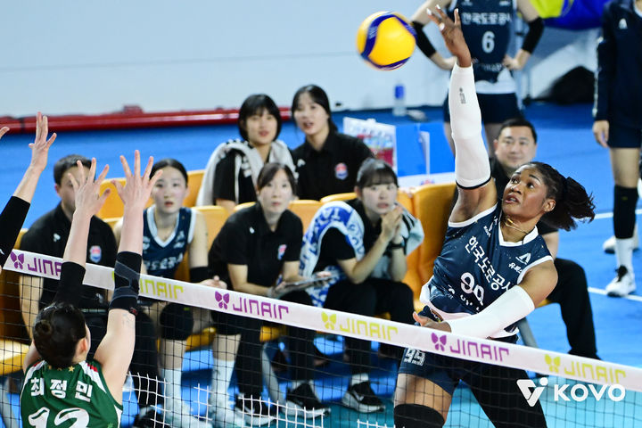 [서울=뉴시스]여자배구 도로공사 모마. (사진=KOVO 제공)